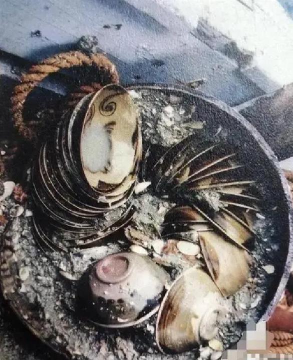 德国水泥厂老板蒂尔曼・沃特法，在生意遇到瓶颈后动了远洋寻宝的念头。他从厂里的印尼