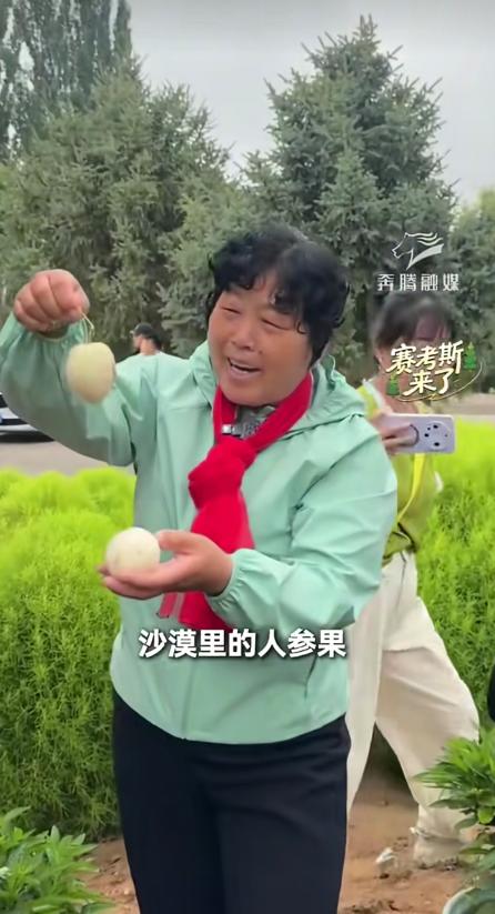 要让他一下飞机就能尝到沙漠里的甜！赛考斯要和殷玉珍见面了！殷玉珍带了两颗自己在沙