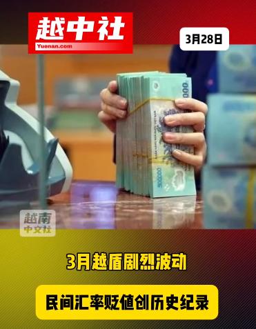 越南盾在外汇市场遭遇低估。三月的越南外汇市场，剧烈波动，三月底的民间自由市场