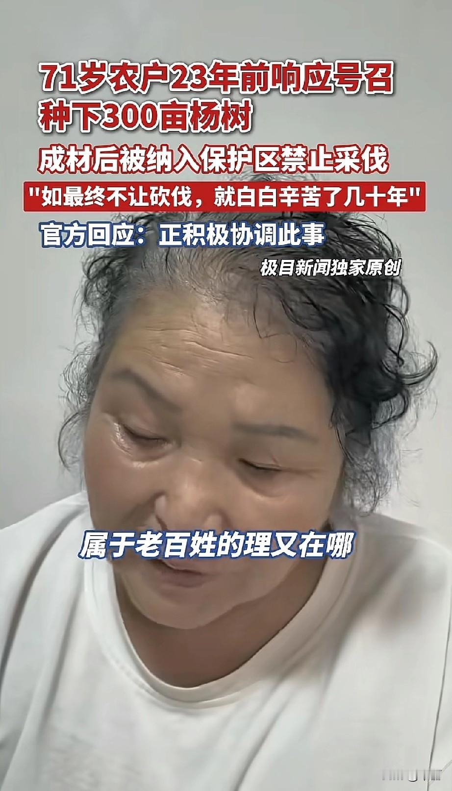 71岁的黑龙江农户王桂菊，23年前响应镇政府号召，承包360亩地种下杨树，后来剩