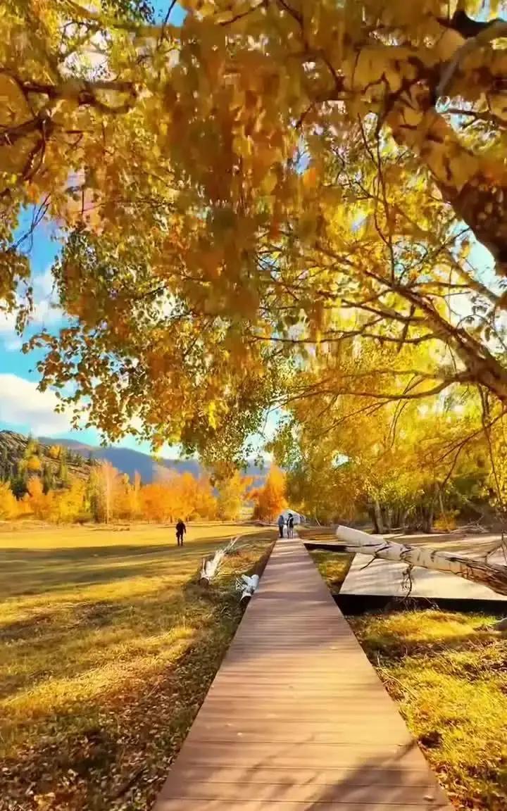 刷到条热搜，说2026年天蝎座要“翻身”，冥王星终于滚出摩羯，换到水瓶，给天蝎让