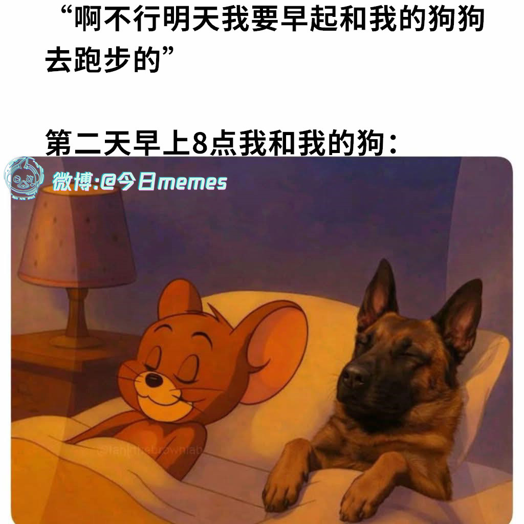 随主人（9gag）今日meme今日memes