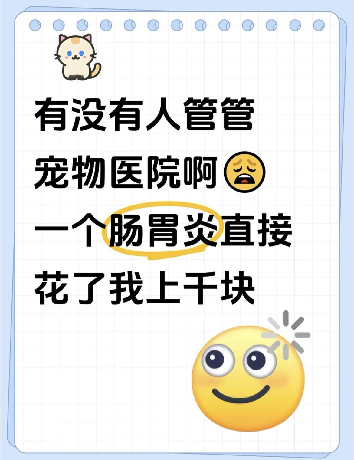 山东姑娘为小狗抗癌1年花费超10万我发现好多人养宠物都是出于“别人有我也要有”，