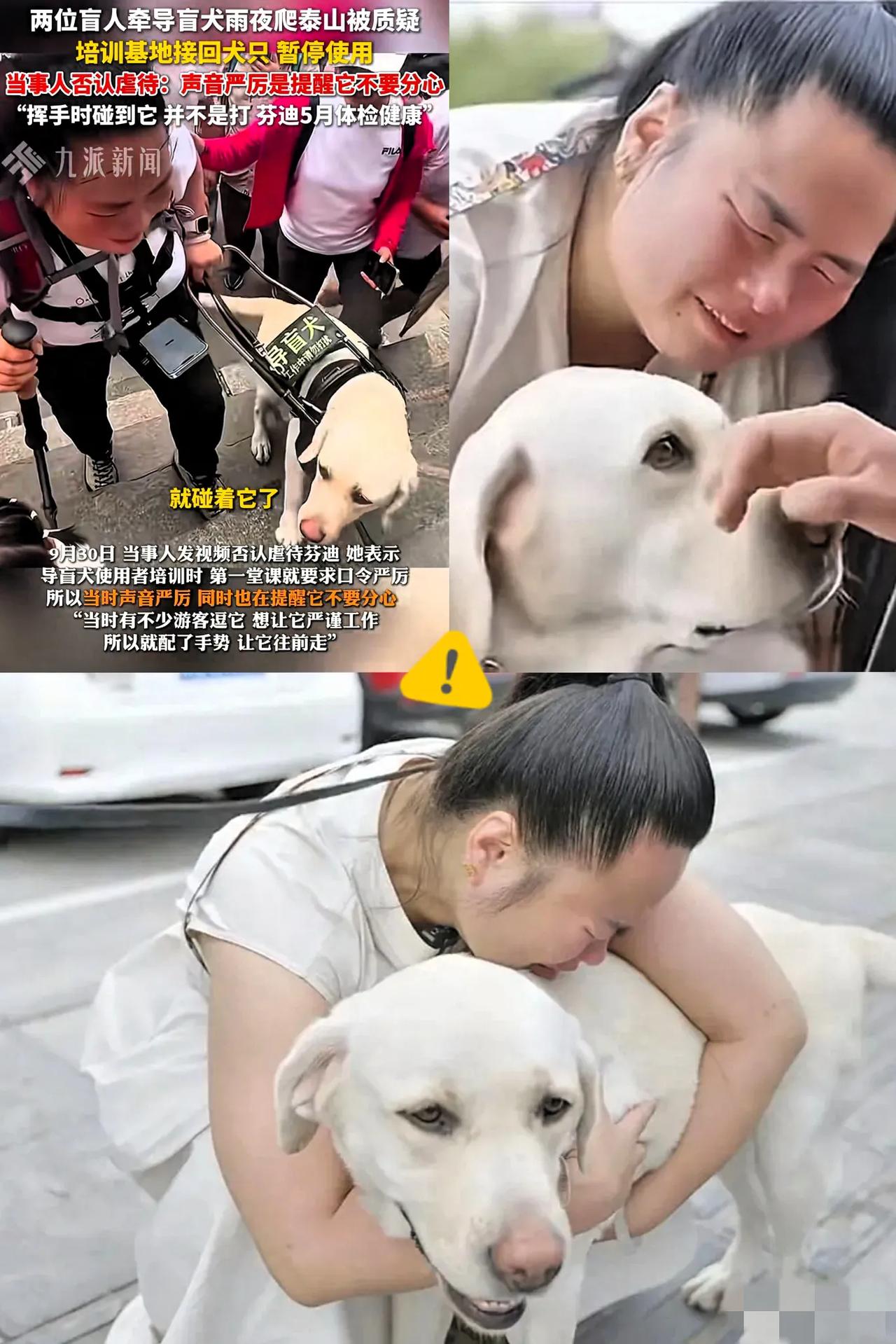 带主人爬泰山的导盲犬芬迪终于返回大连基地！尽管王女士表现得恋恋不舍，连声呼唤