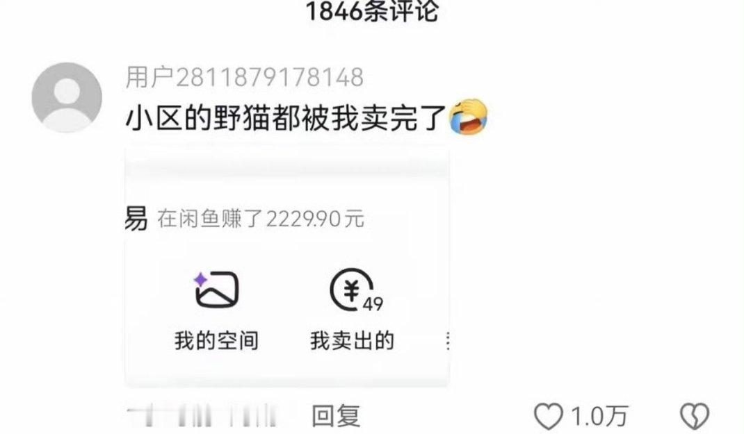 这不比投喂好？