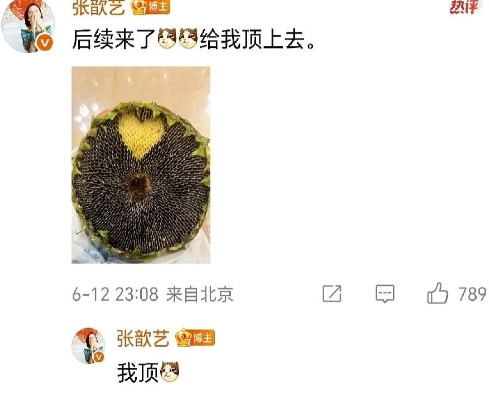 6月12日，张歆艺晒出了与一大盘葵瓜子的合照，真的是好大一朵呀，感觉要吃好久。