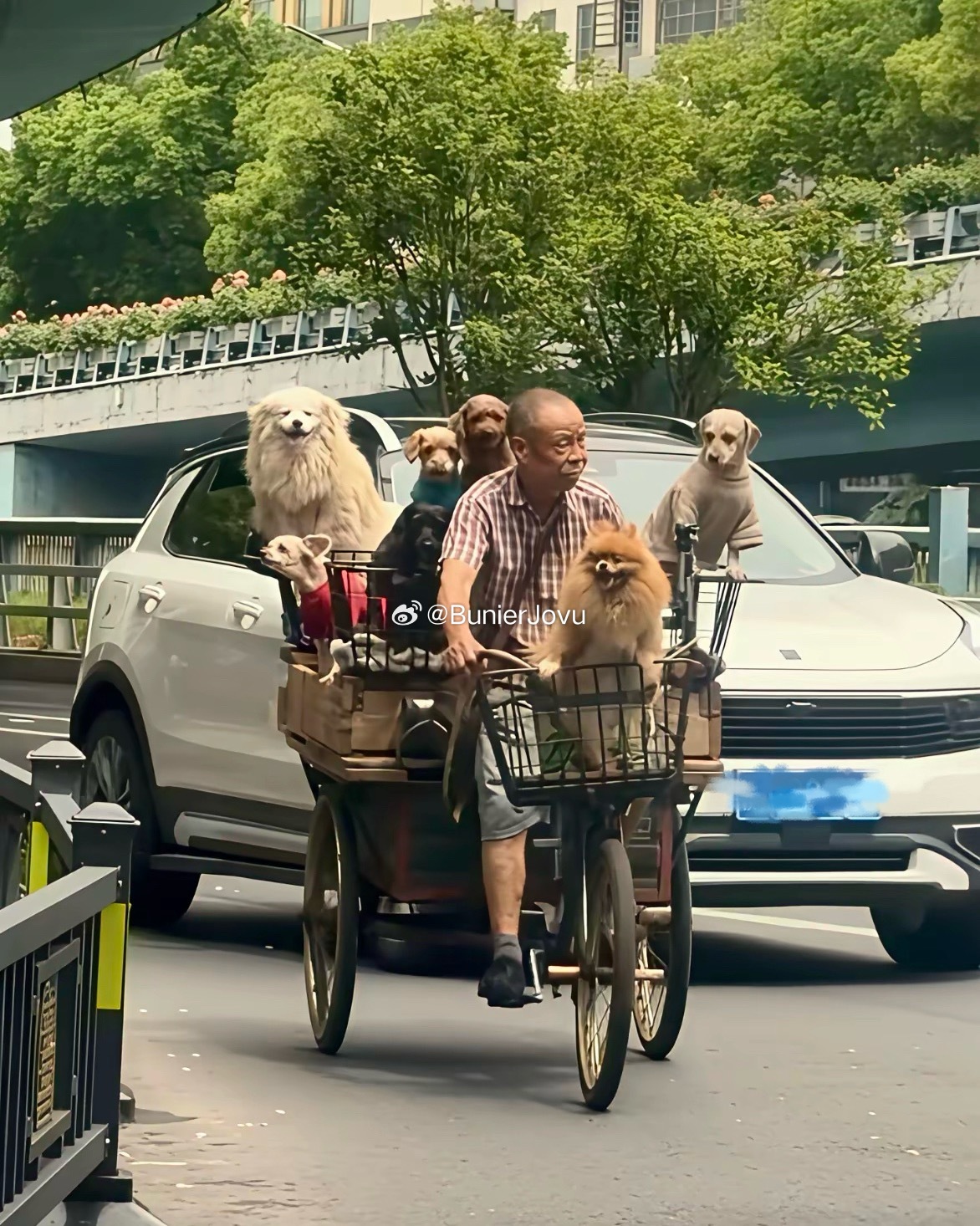 等我退休了，我也要过他一样的生活
