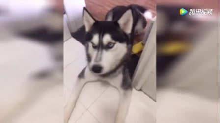 普拉达斯酒店设计