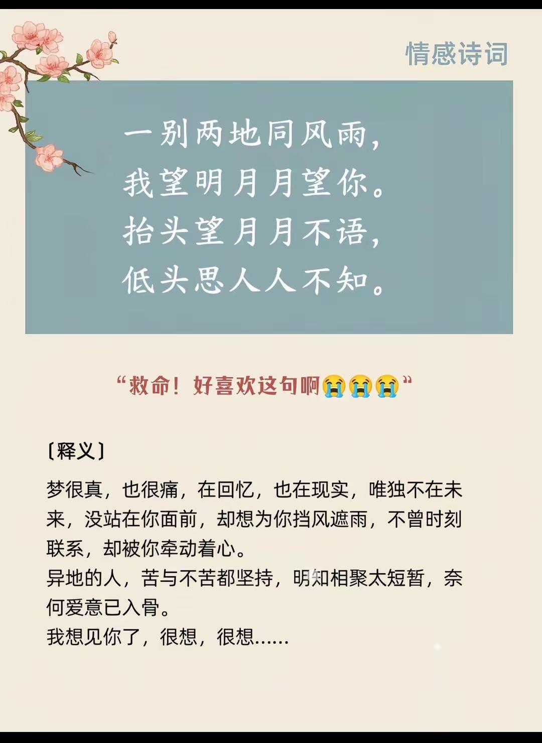 情感诗词。古诗词的魅力国学诗词唯美诗词古诗词的意境