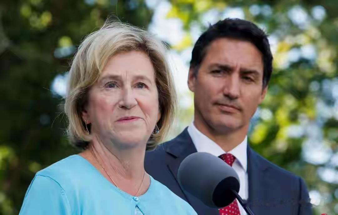 加拿大一群议员正搁台湾窜访，突然上演“冰火两重天”：两名自由党议员接到政府建议，