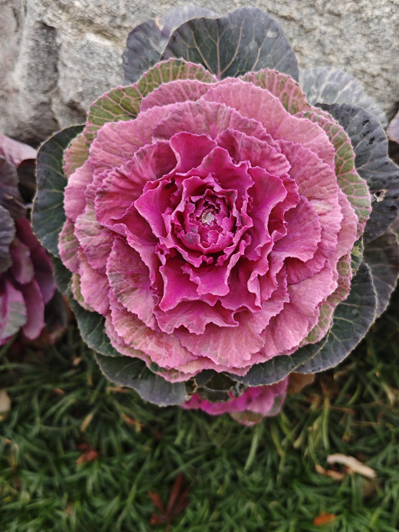 不管生活多糟糕——我是我自己第一，每天人肯定会遇到不顺心的事和人，这些人