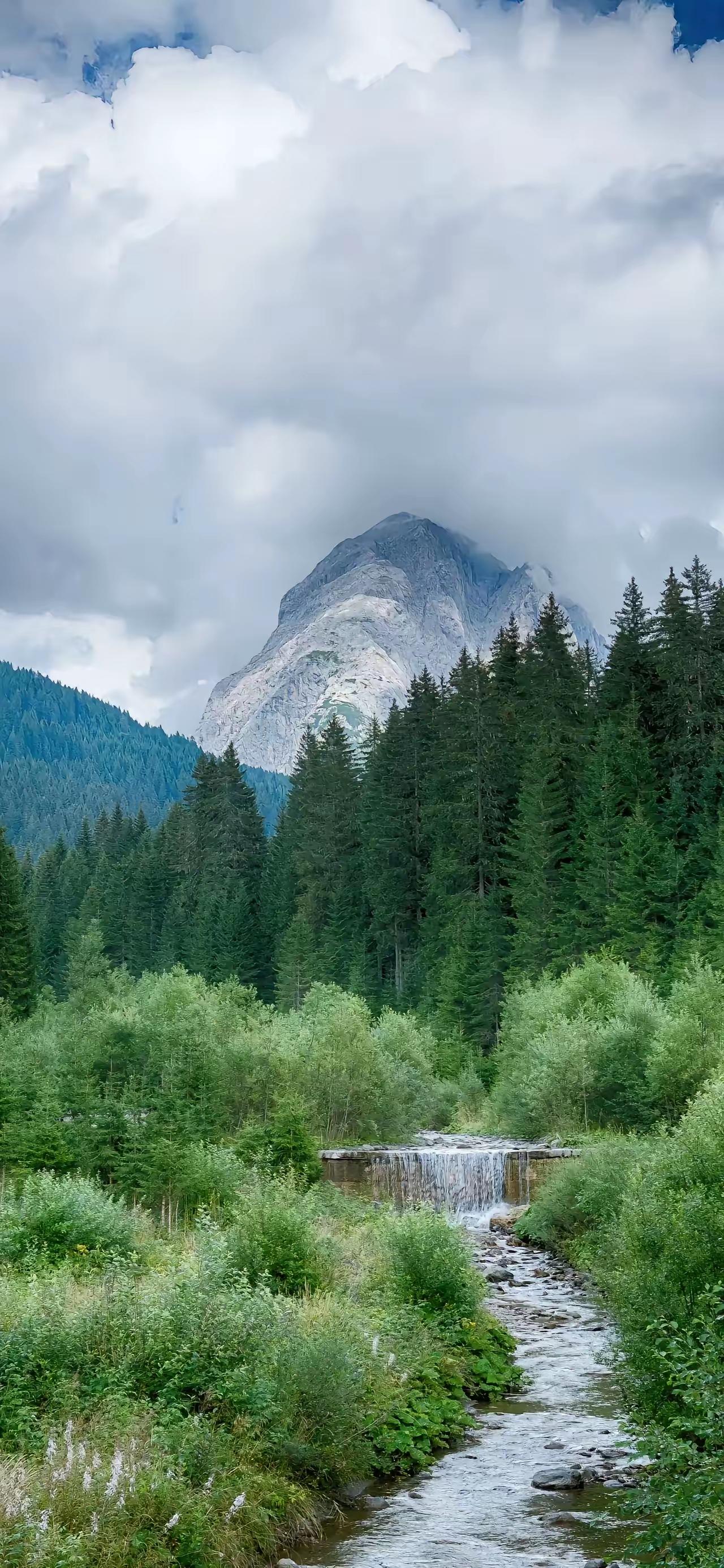 最实在的几句话:“运动，可以解决80%的疾病。读书，可以决定60%的命运。
