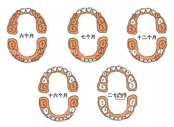 宝宝出牙的征兆、时间、顺序以及如何护理