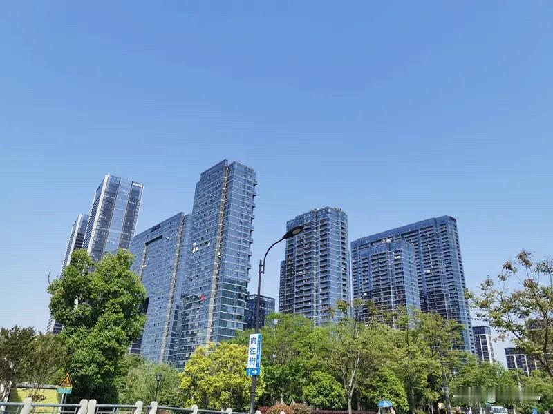 杭州楼市：今年二手房整体下行，但并未出现恐慌性砸盘，跌幅整体可控。7月新房环