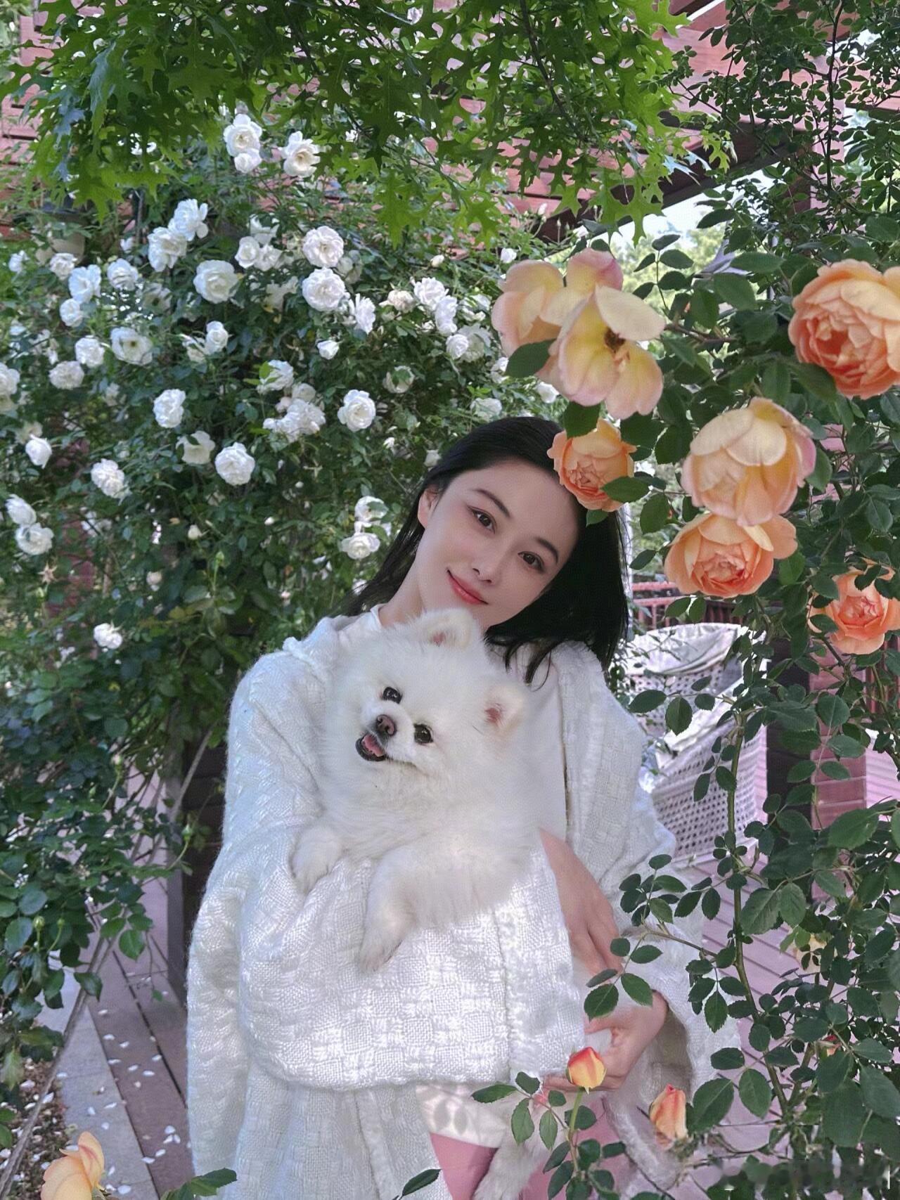以前美到张馨予的程度才能当明星不是说现在的不漂亮，就是怀念以前那种“哇！这才是明