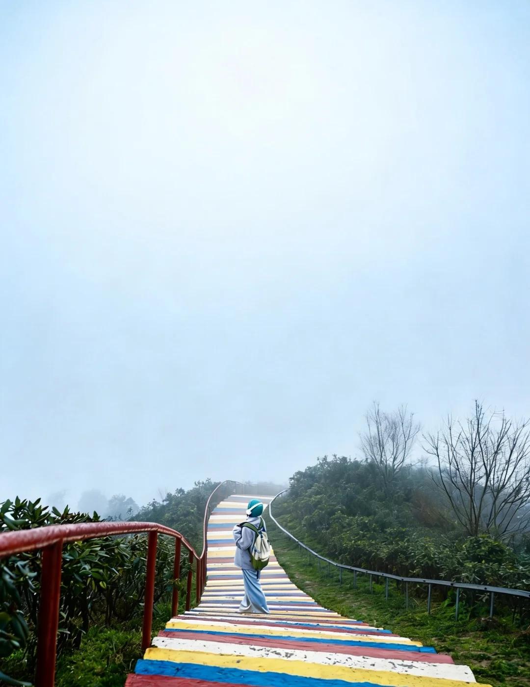 比起青城山 我更爱这条迷雾森林的爬山路线！成都出发1.5h直接闯入云端上的莫