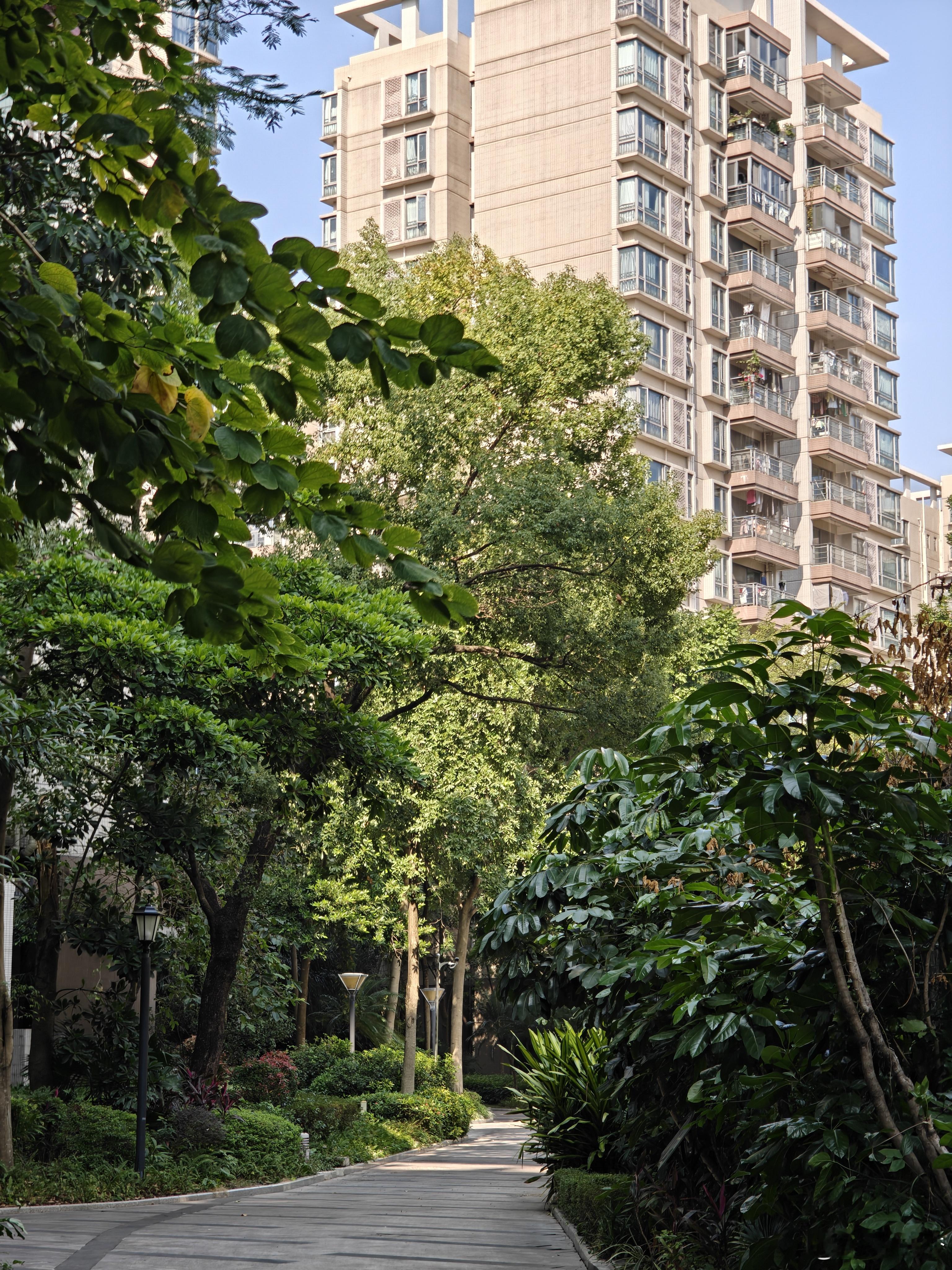 广州天气如图，跑个步正合适