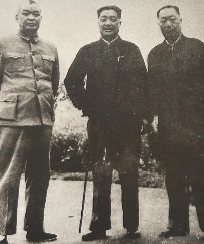 1960年3月，贺龙元帅与聂荣臻元帅在成都金牛坝视察期间，与云南省委第一书记阎红