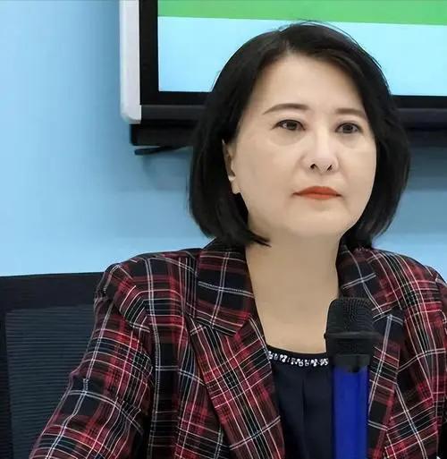 国民党“立委”王鸿薇认为，高金素梅被求刑12年半，当然是有很多的政治操作的痕迹，