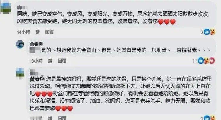 S家这是要内讧的节奏？大半夜S妈再次崩溃发文！一反常态抱怨小S。徐熙媛去世后，徐