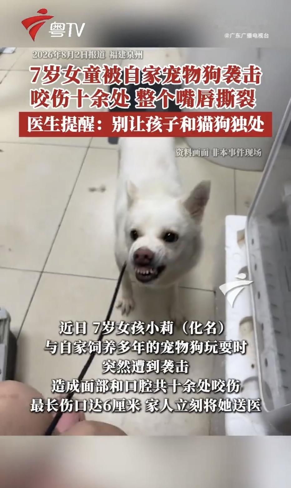 福建泉州，一7岁小女孩像往常一样和自家养了多年的宠物狗玩耍，没想到下一秒，狗突然