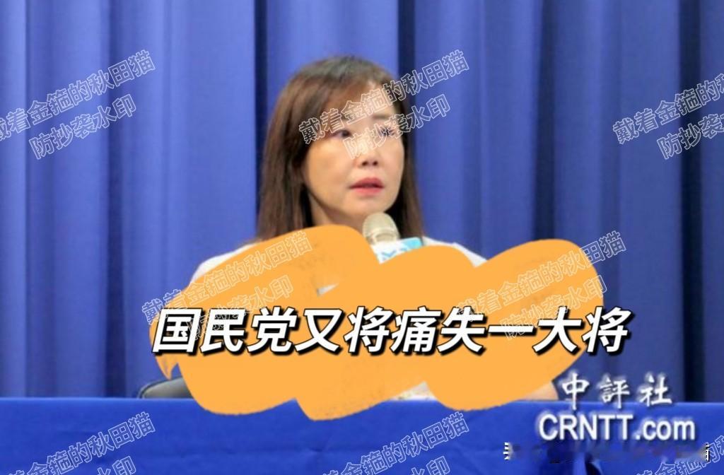 蓝营又将失去一员大将！尹乃菁亲口证实已请辞文传会主委，因个人身体健康问题向郑丽