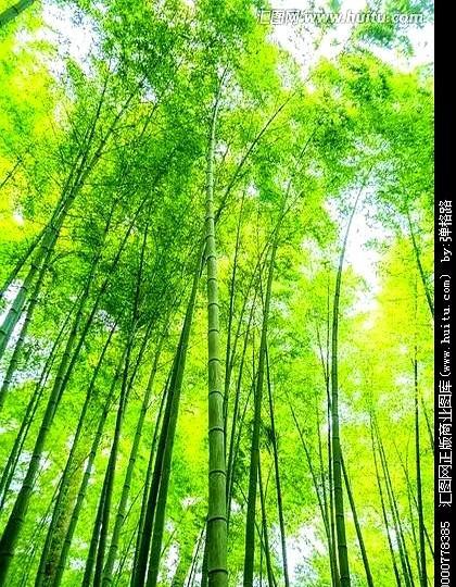 对门的邻居今天终于把挂了一年多的房子卖了。其实这房子从挂牌开始就热闹得很，隔三