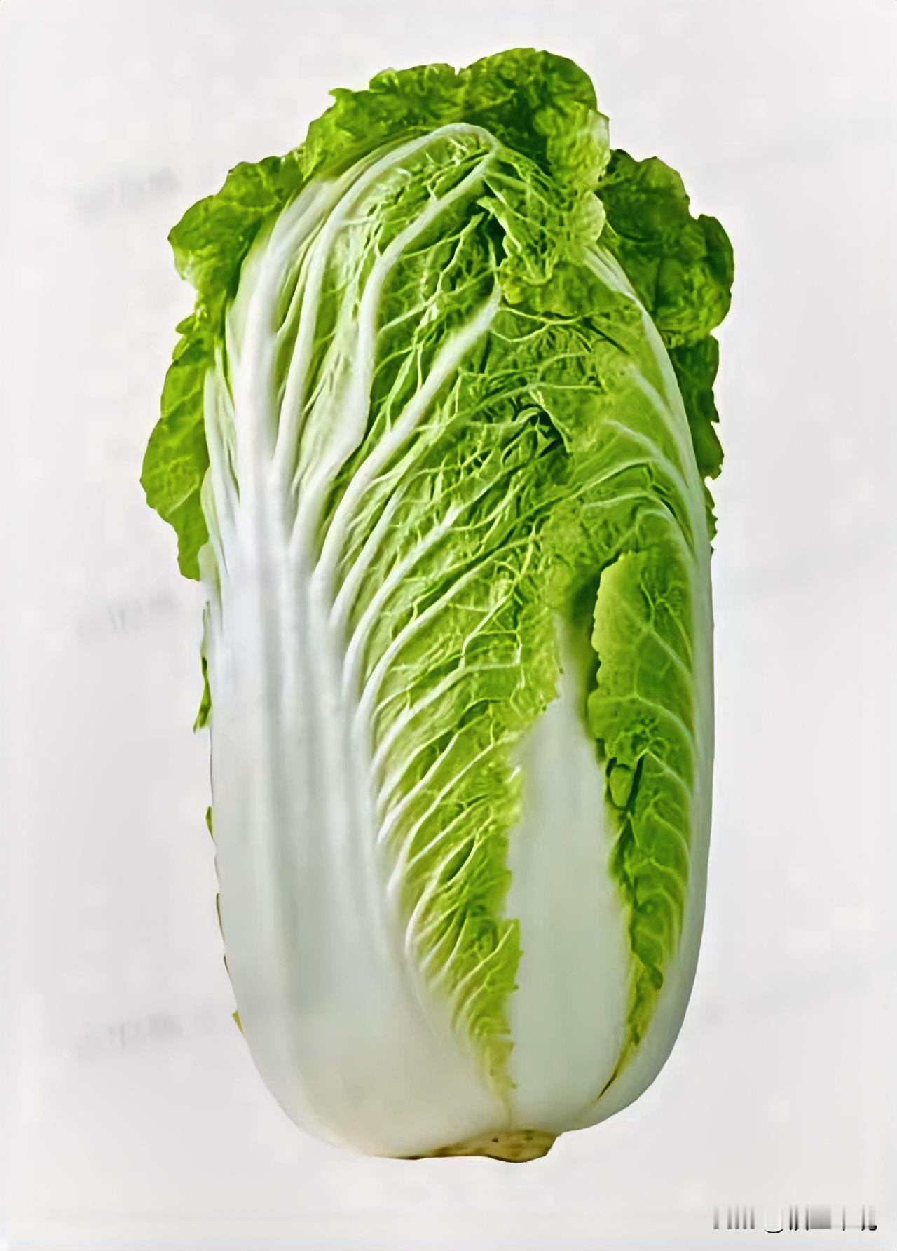 这颗白菜美得恰到好处！白绿相间的颜值太戳人，多一片嫌繁、少一片嫌淡，看着就清爽治