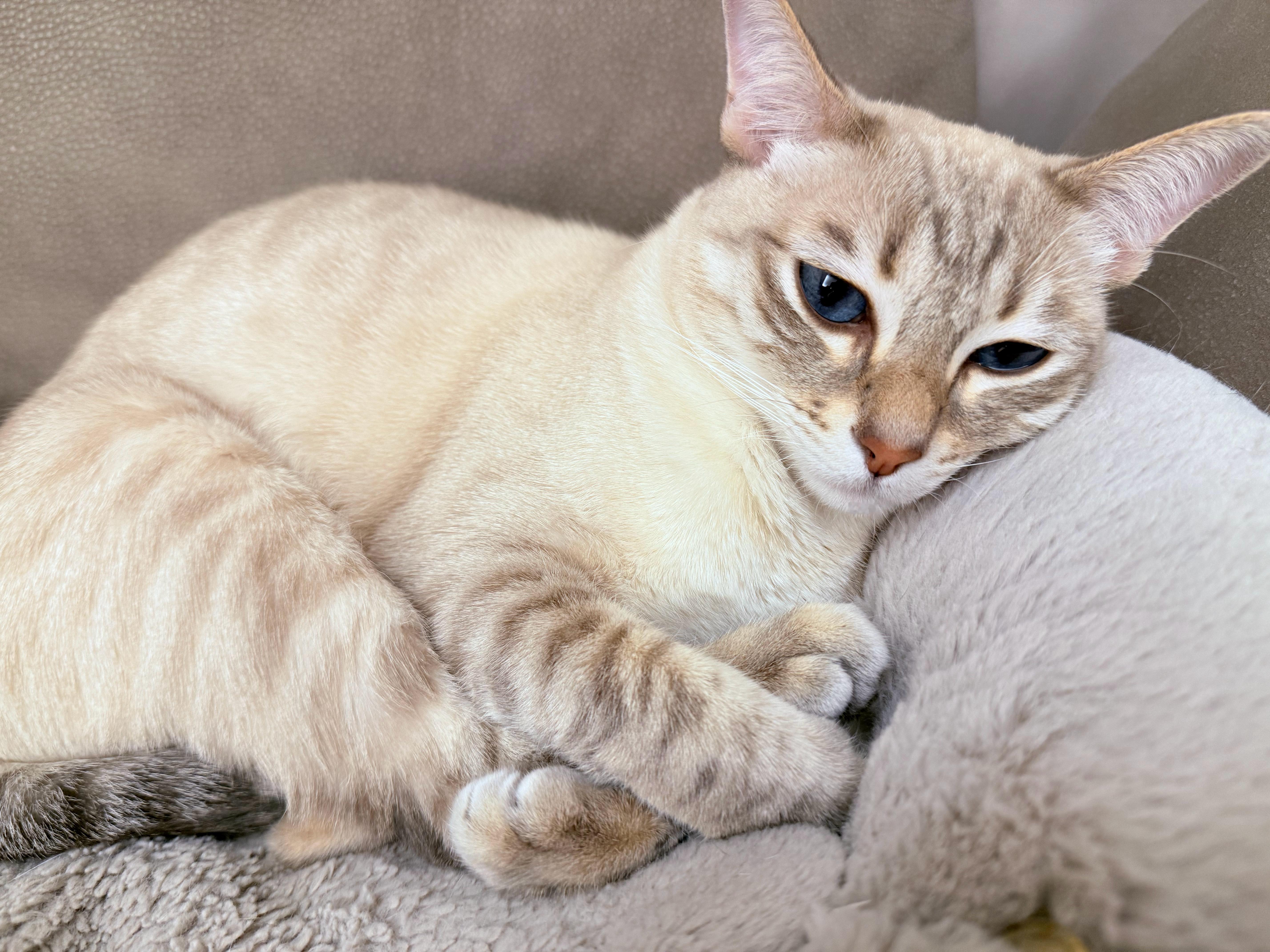 天天抱着自己的小臭jio