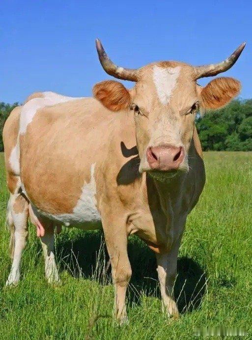 元旦假期第二天，股市不开盘，同花顺热榜排行前十名如下：一、金风科技。现价20.4