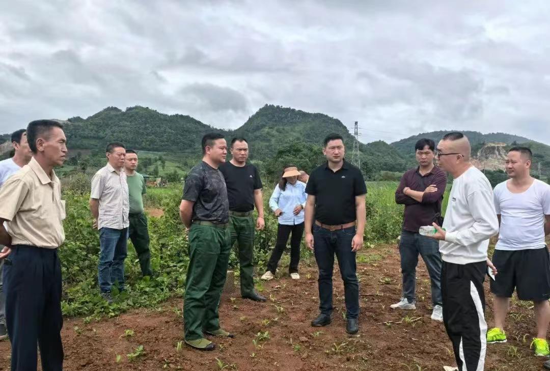 缅北果敢地区老街市的正副市长和区长，陪同邻国代表，为有色金属冶炼基地选址，开展实