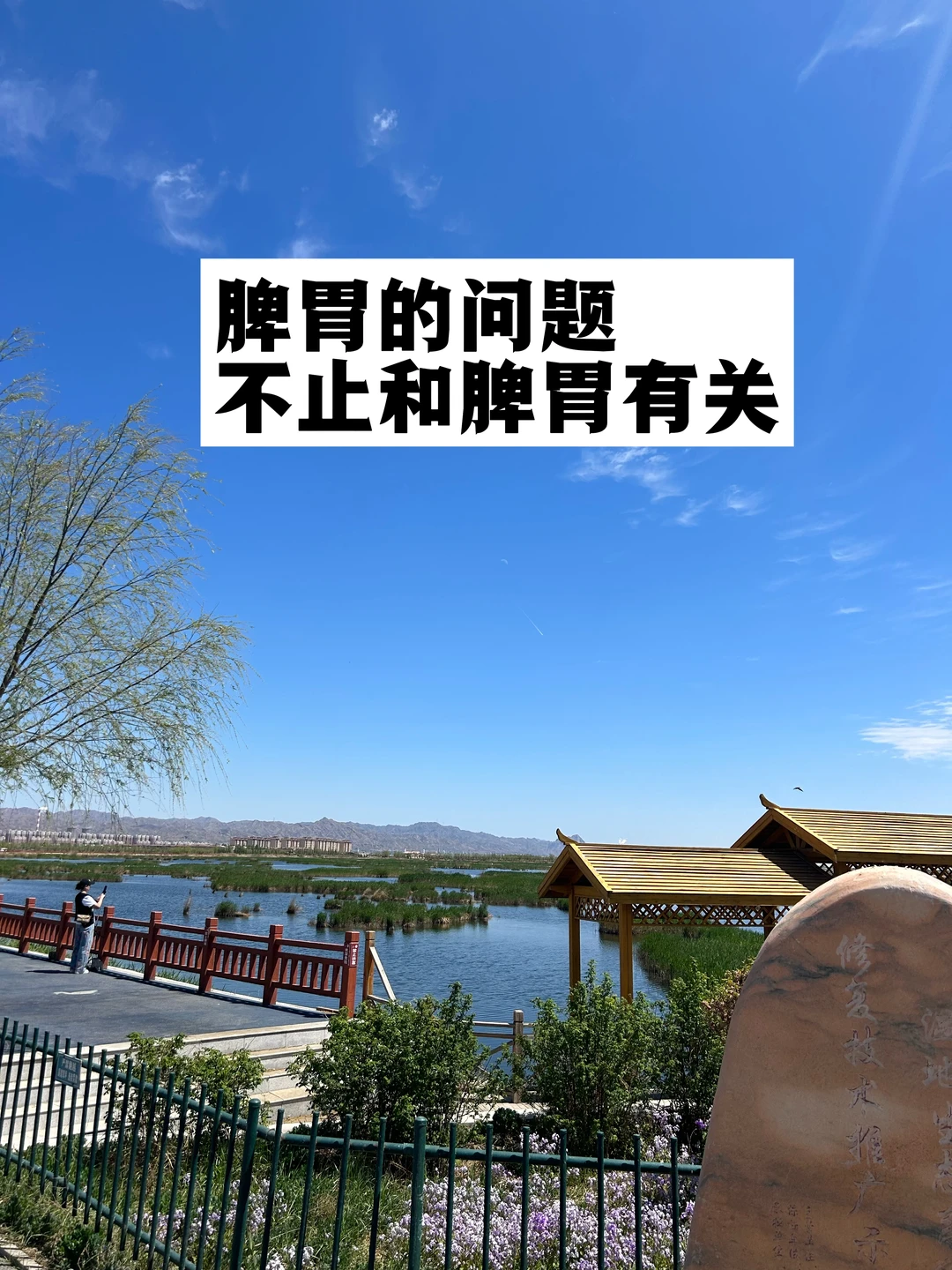 脾胃的问题，不止和脾胃有关.