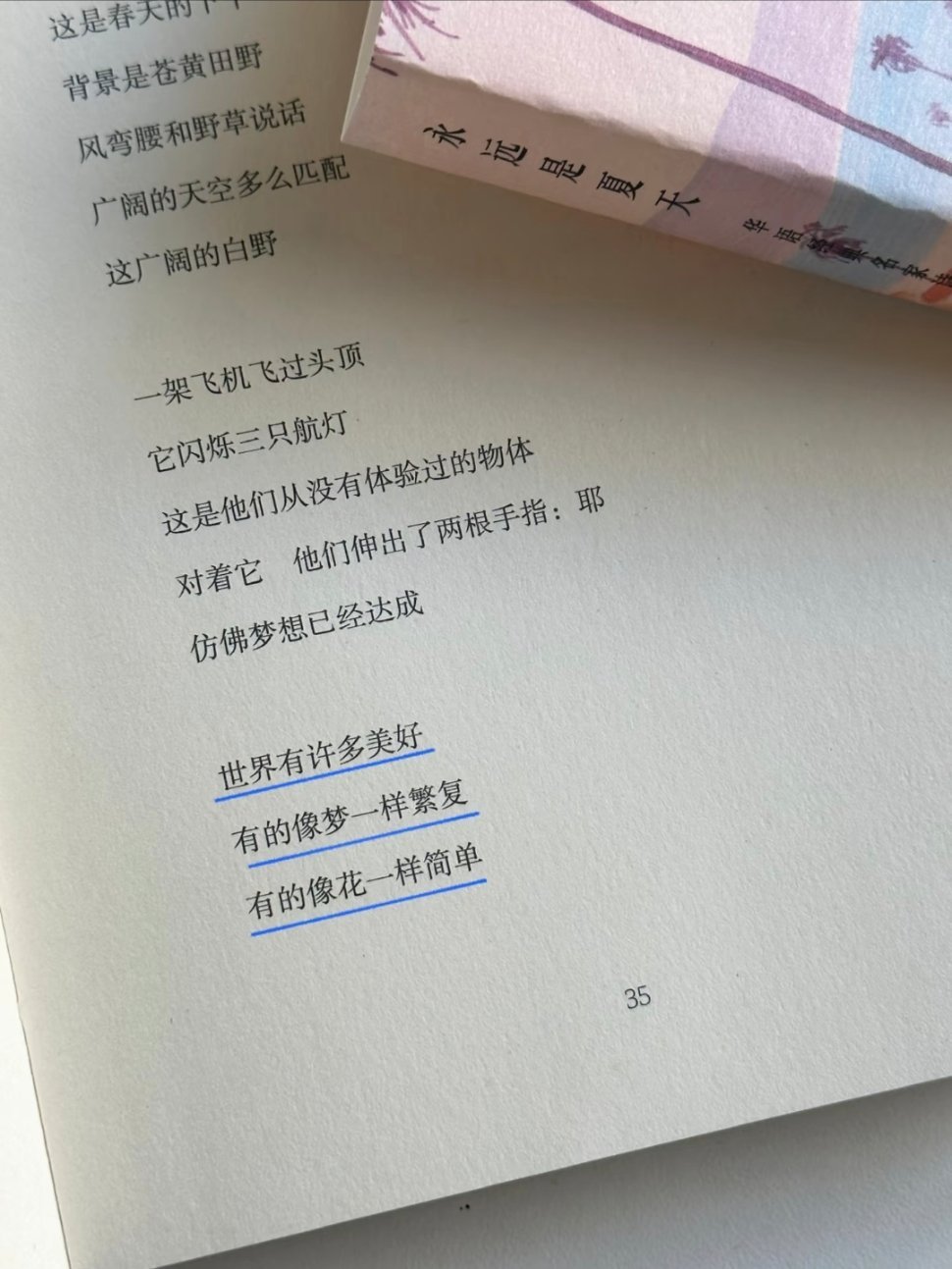 温暖又治愈根本舍不得读完！