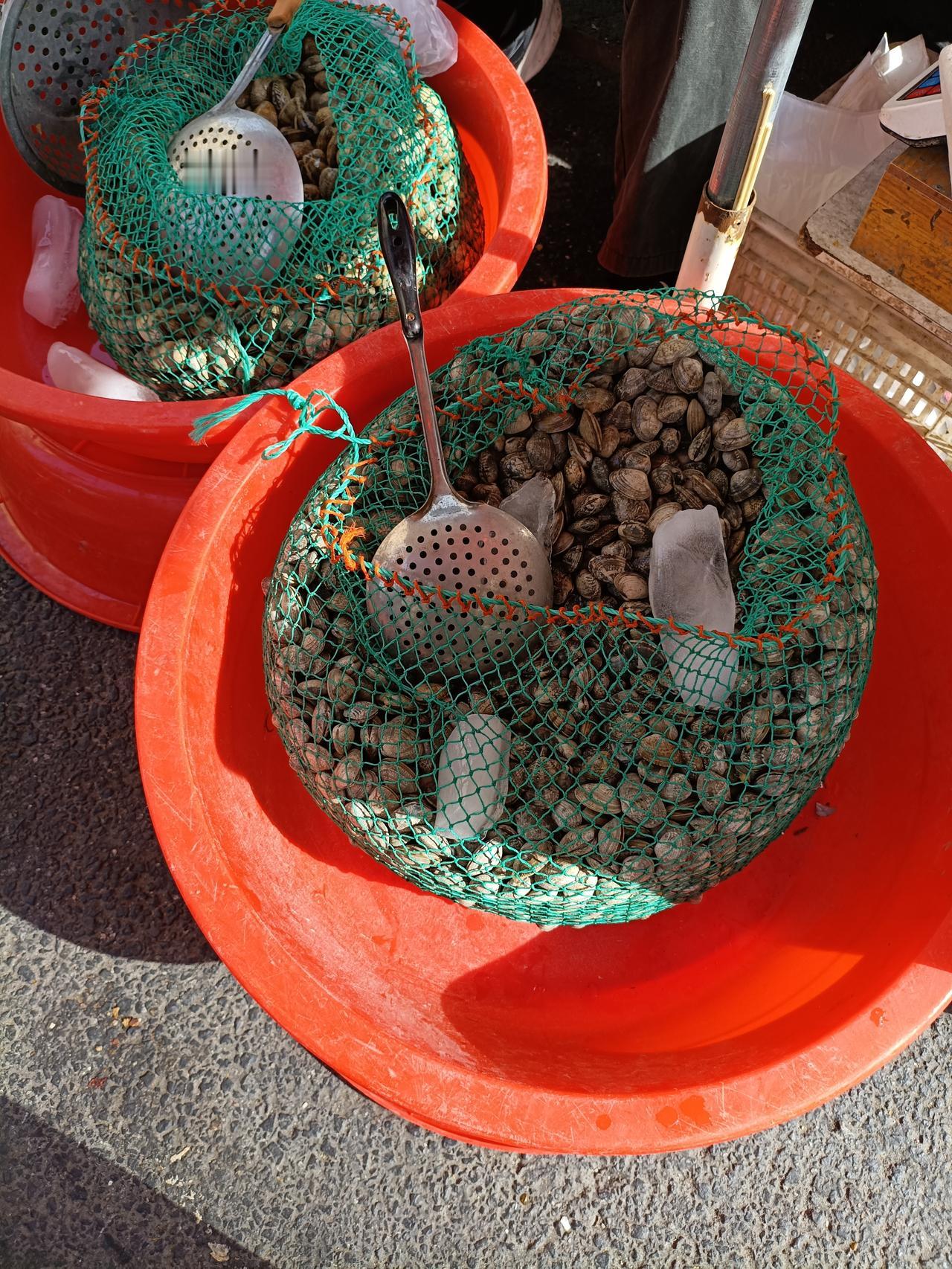 说到海鲜好像就是高大上的存在，我想问问友友们，你们觉得蛤蜊算不算海鲜？