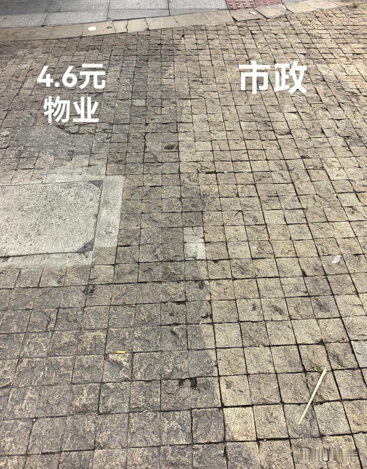谁好谁坏，一眼就看出来了