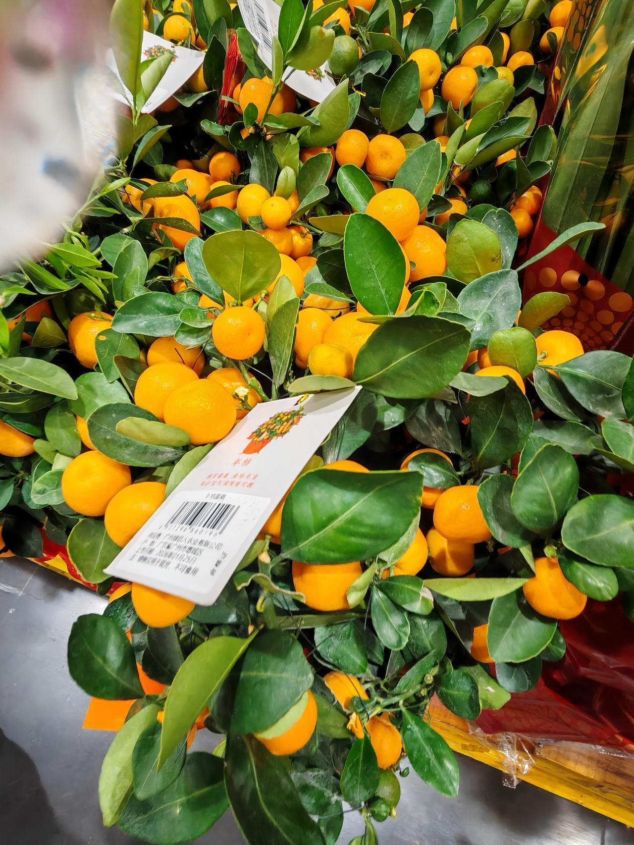 2、人多的地方尽量不去，比如扎堆跨年；人烟稀少的地方也不去，比如夜跑、爬山、徒步