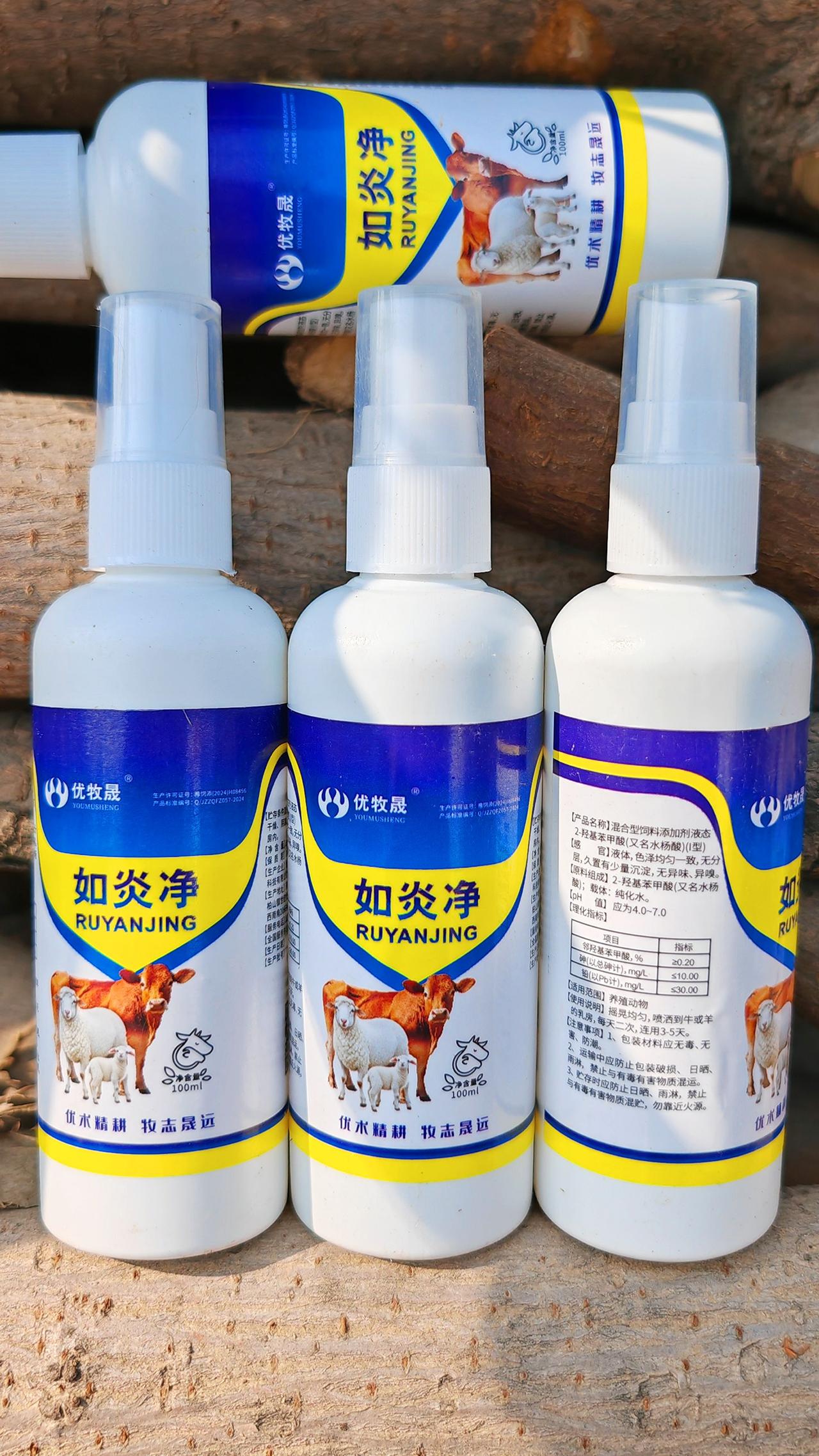 养羊人牛羊养殖农村养羊