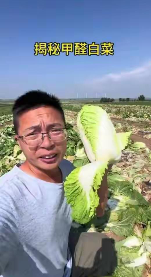 甲醛白菜毒翻全网，于东来却悄悄干了一件事，让整个生鲜圈睡不着觉河北白菜泡甲醛