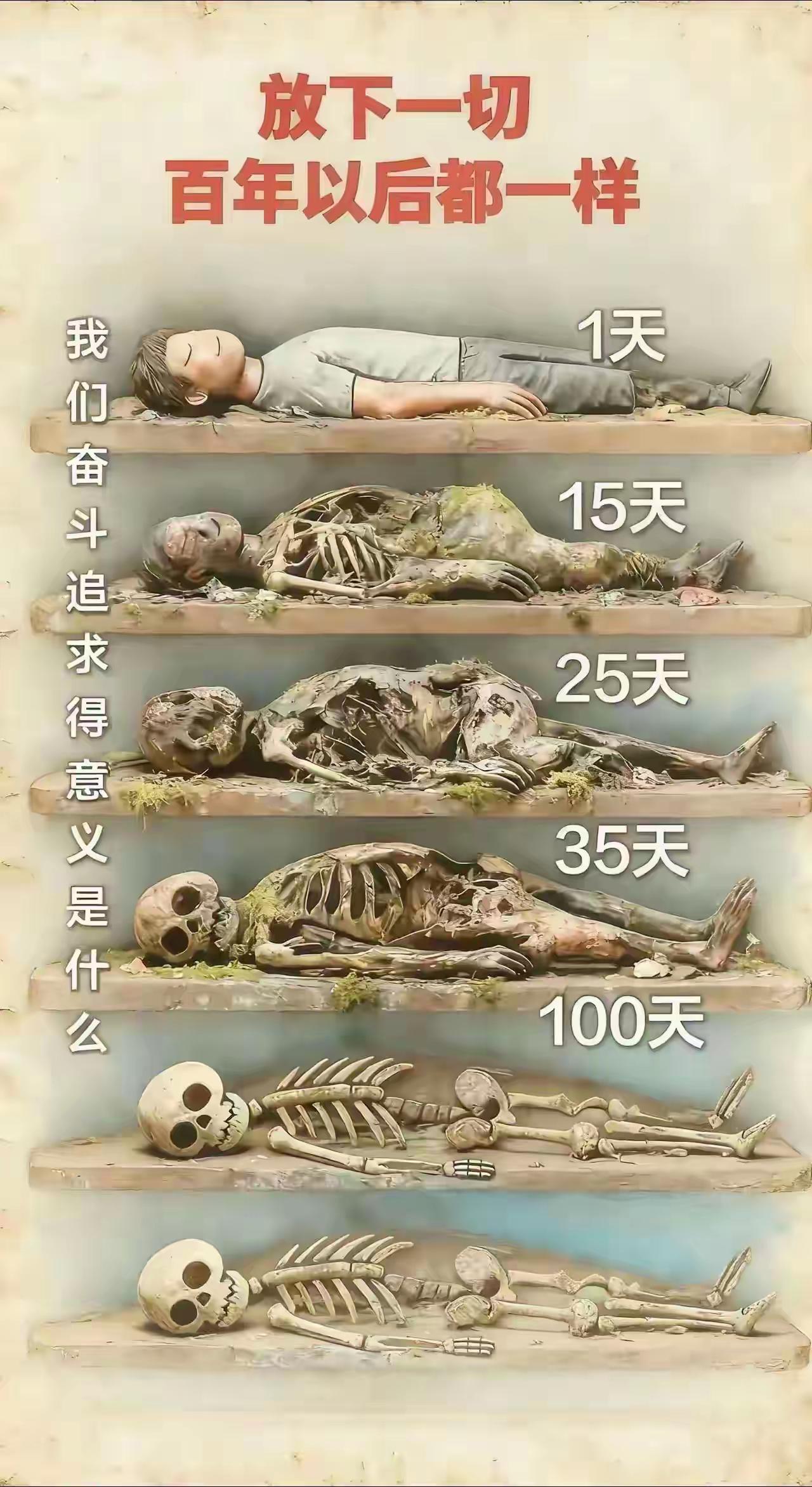 看完这张图，突然懂了：炒股的意义，根本不是为了钱“放下一切，百年以后都一样