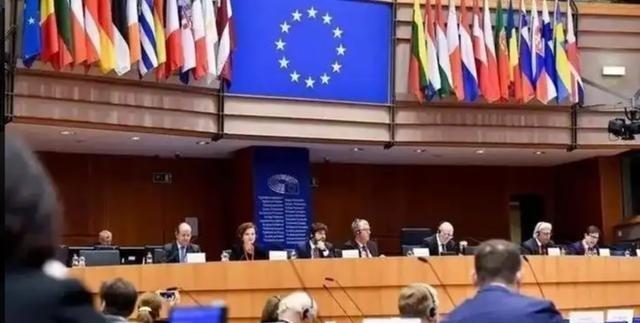 波兰在欧盟投票支持对中国电动汽车加征关税。结果中国车企零跑汽车直接关停了波兰蒂黑