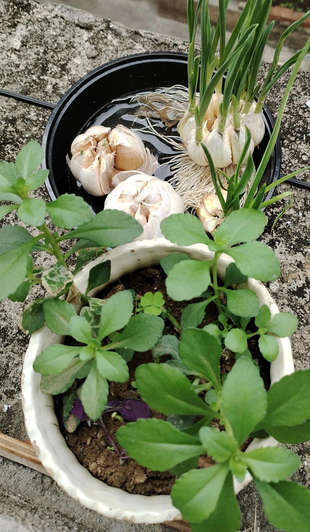 开心就是无心于人，无心于事。人生痛苦客观在他人，主观在自己。太在意他人，就会委