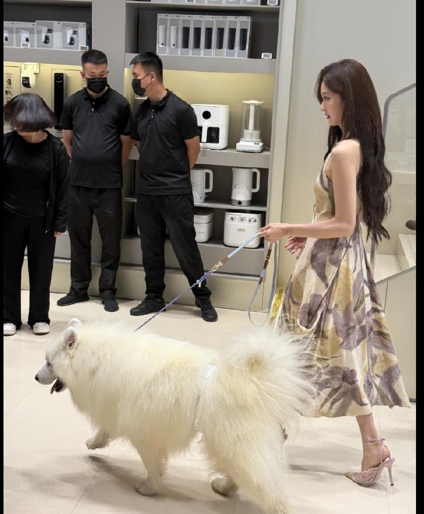 孙千这会真的升咖了。她和普通人不是一个图层的，随便出行还是活动，都会很多观众了