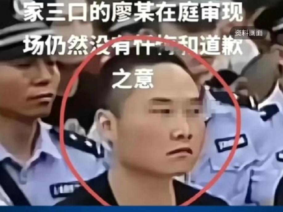 为什么景德镇撞人事件反响这么大？因为实在是太讽刺了！根本不是死缓争议，是恶的