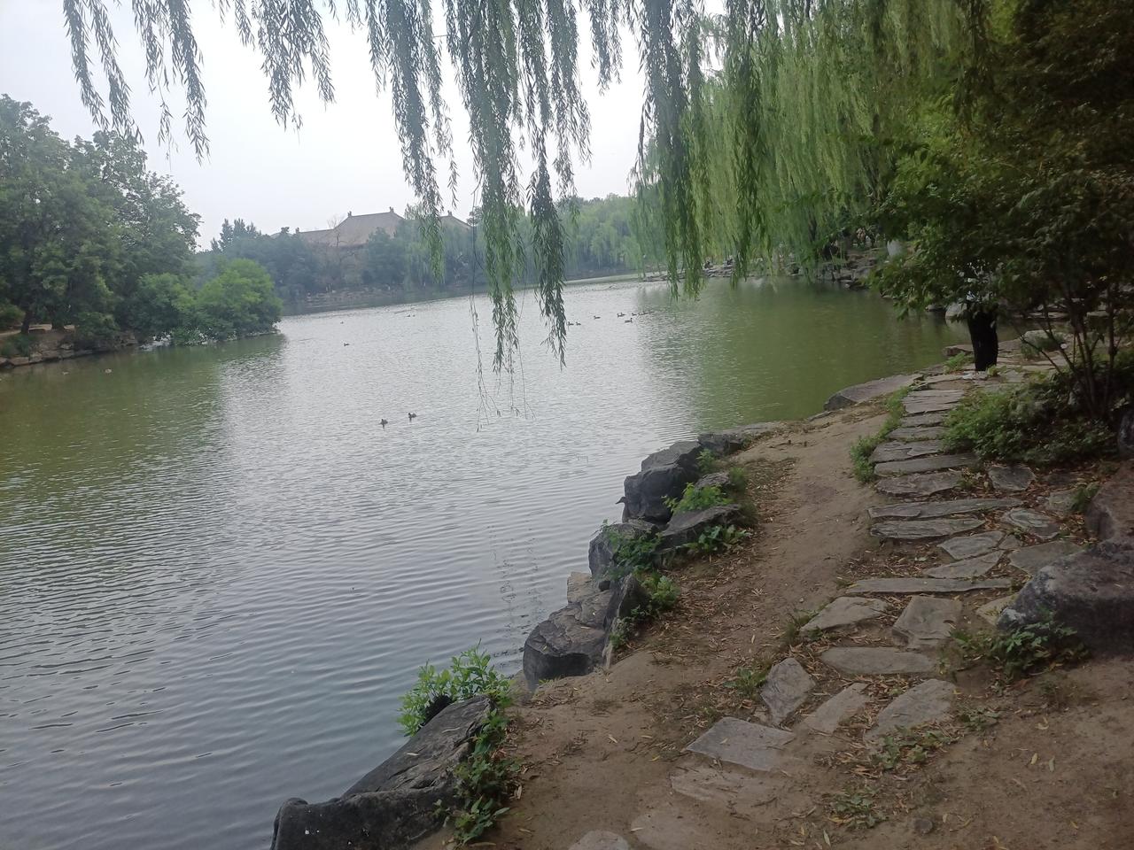 我的手机号码是中国移动的，我在中国移动在网超过二十年了。移动打电话信号好，这是不