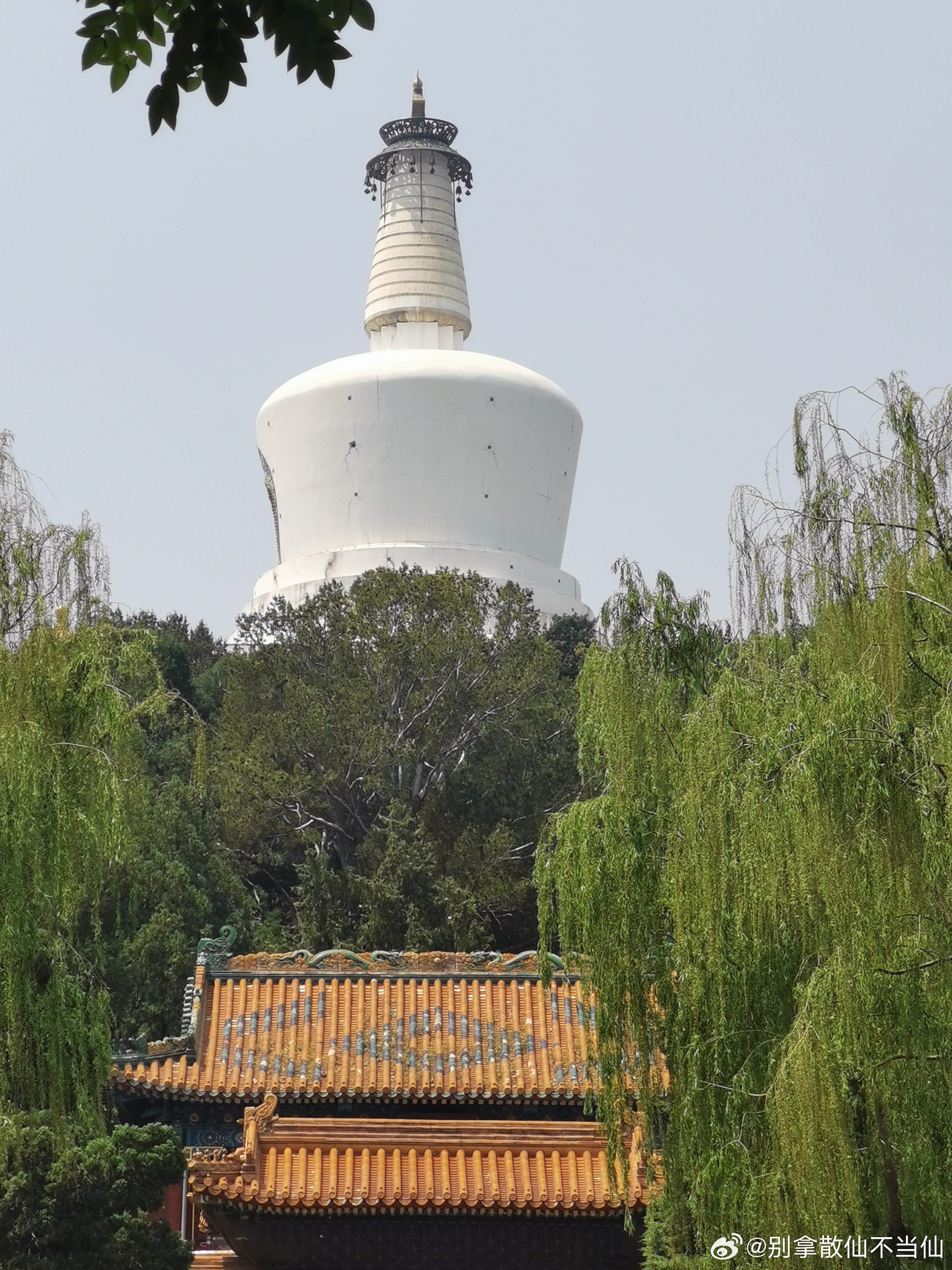 北海公园掠影摄影​​​