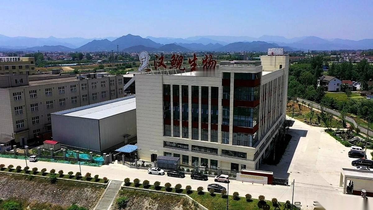 你敢信吗？那个以前在菜市场按斤卖的“娃娃鱼”，现在竟然能提取出黑科技，直接用在