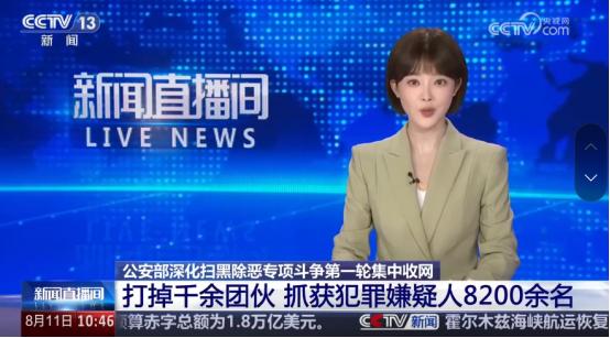 8200多人一夜落网！这哪是抓罪犯，这是把藏在地下的雷一锅端了！ 公安部8月
