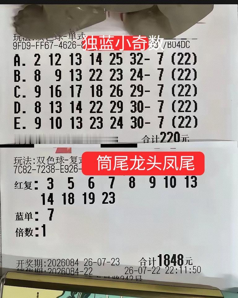 (＾－＾)V！这是什么情况？大佬又回顾奇数独蓝号了，主要是大复式比较有个性，前区