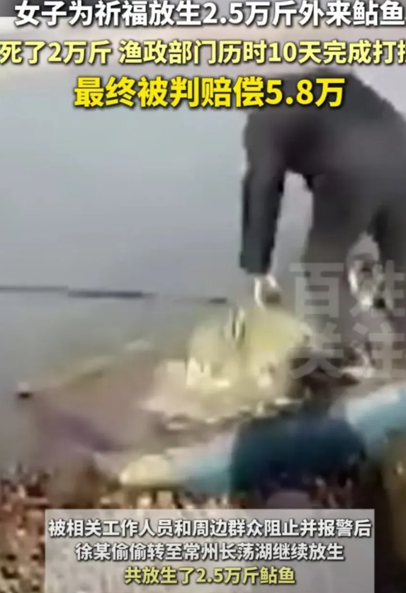 “罚的好”！江苏常州，女子为给家人祈福，从刘某处购买了2.5万斤的鲇鱼（塘虱鱼）