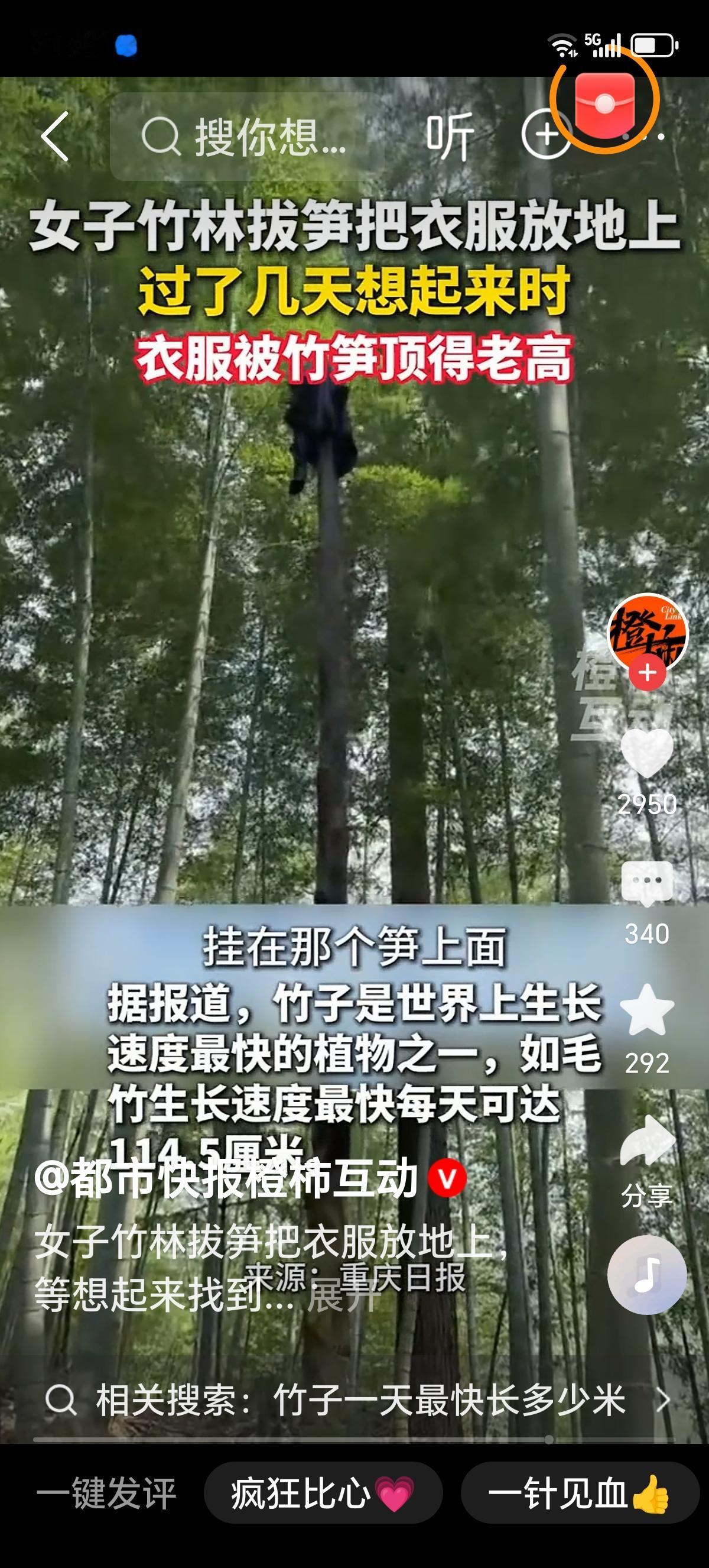 女子上山挖笋忘外套，这波“意外”藏着生活小确幸女子上山挖笋，本是一场亲近自然、